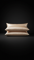 Champagne Blush Silk Pillow Duo